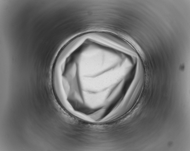 X0000097641004200803211828