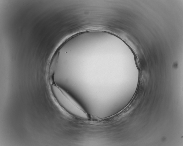 X0000097641005200803211828