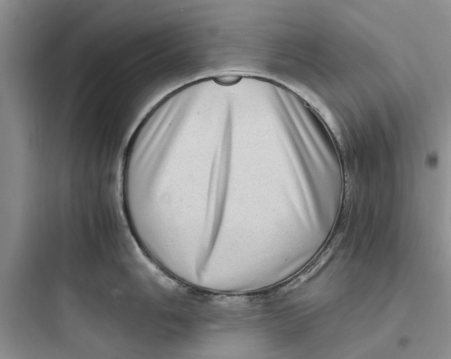 X0000097641006200803211828