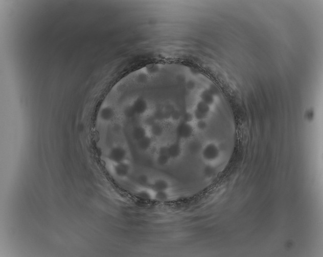 X0000097641009200803211827