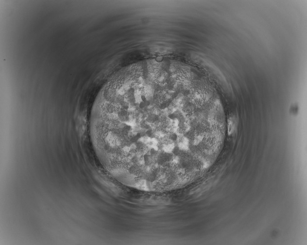 X0000097641011200803211827