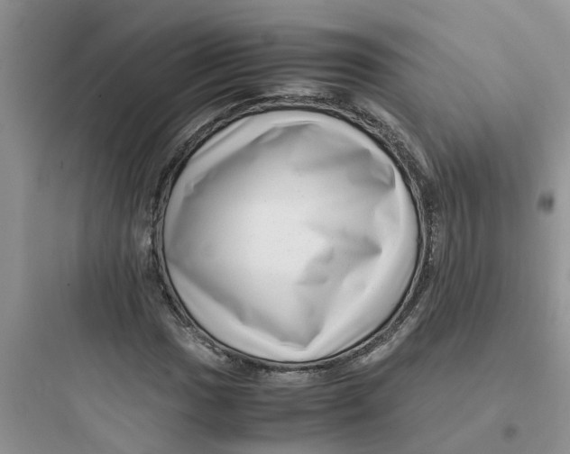 X0000097641017200803211828