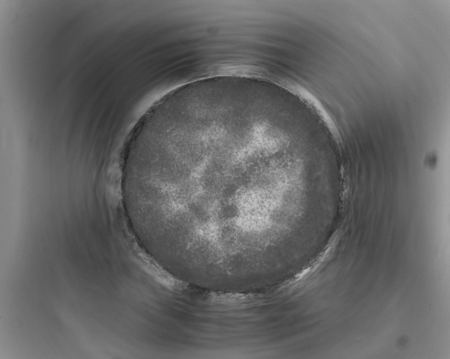 X0000097641019200803211828