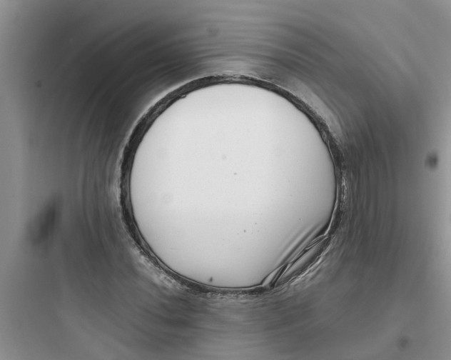 X0000097641020200803211828