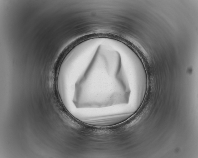 X0000097641021200803211828