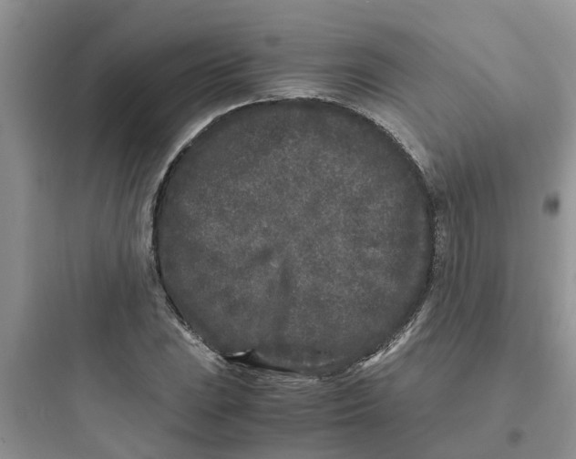 X0000097641023200803211828