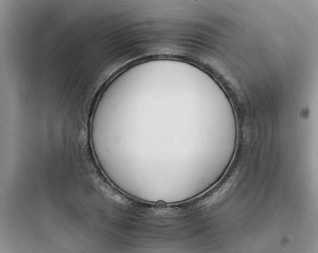 X0000097641025200803211828