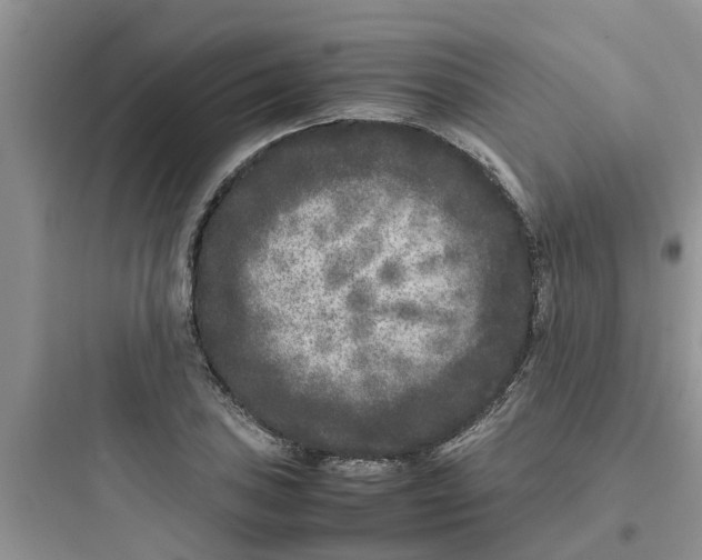 X0000097641027200803211828