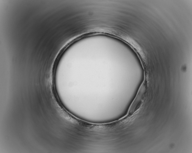 X0000097641028200803211828