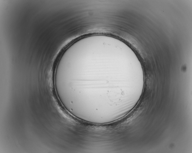 X0000097641030200803211828