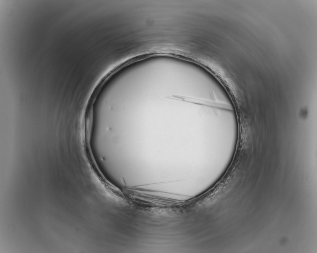 X0000097641032200803211828