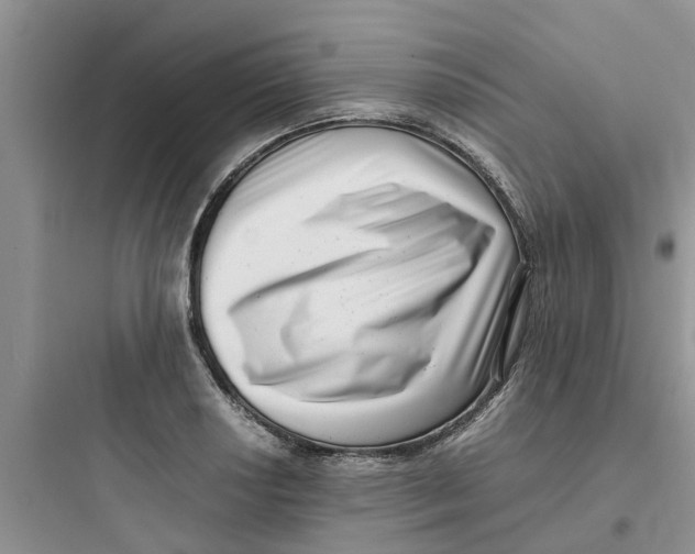 X0000097641034200803211828