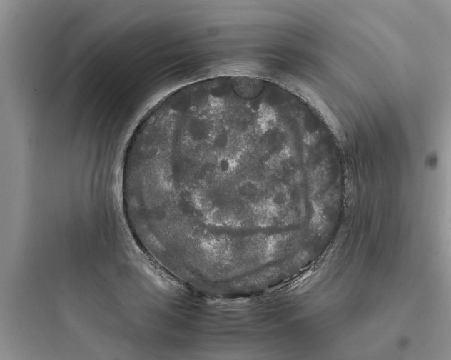 X0000097641035200803211828