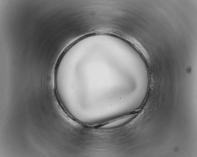 X0000097641036200803211828