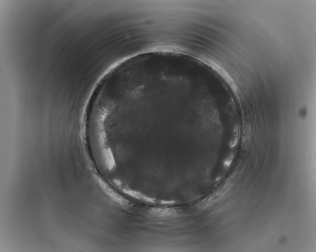 X0000097641037200803211828