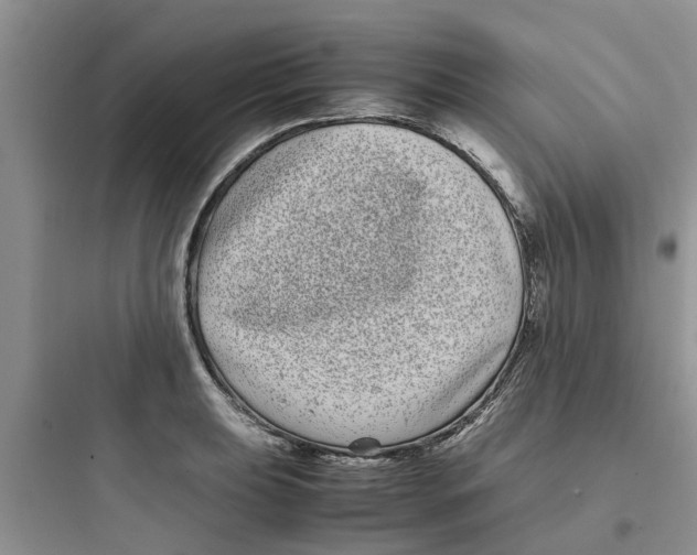 X0000097641039200803211828