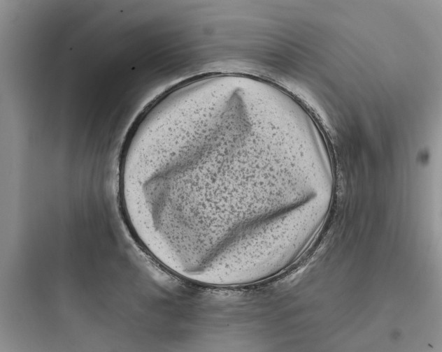 X0000097641040200803211828