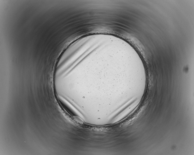 X0000097641041200803211828