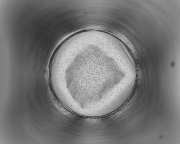 X0000097641044200803211828