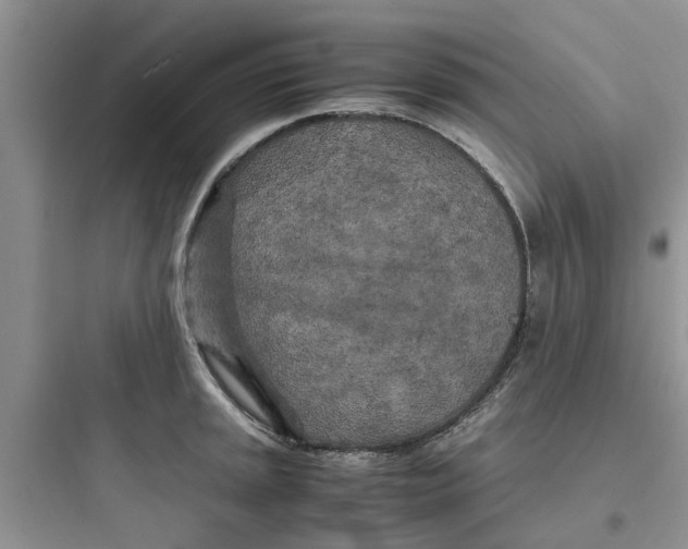 X0000097641045200803211828