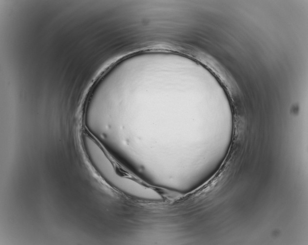 X0000097641048200803211828