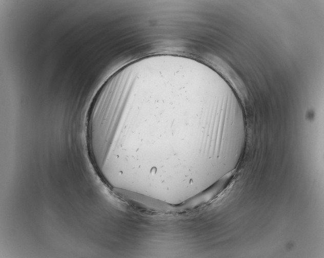 X0000097641050200803211828