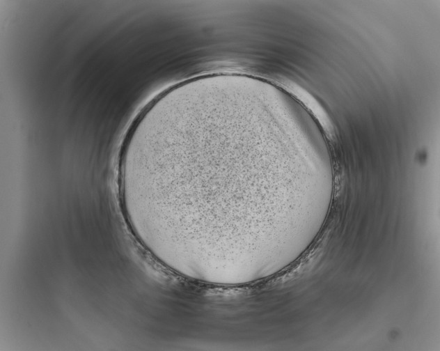 X0000097641051200803211828