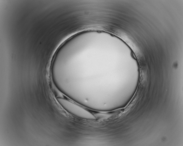 X0000097641052200803211828