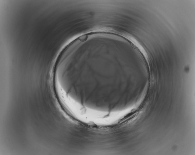 X0000097641053200803211828