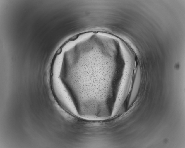 X0000097641054200803211828