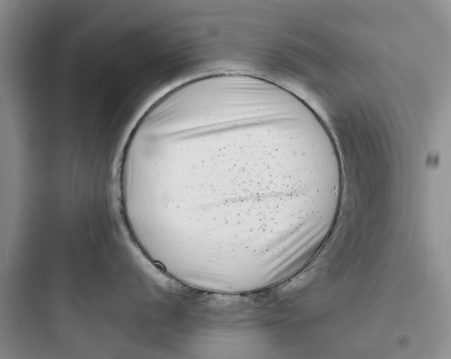 X0000097641056200803211828