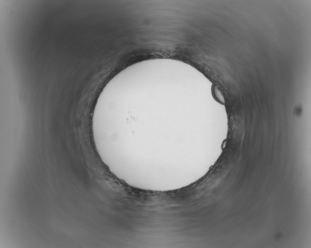 X0000097641057200803211827