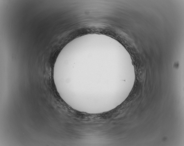 X0000097641061200803211827