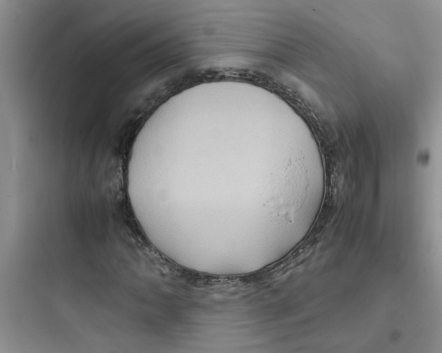 X0000097641062200803211827