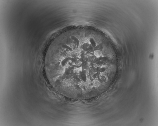 X0000097641063200803211827