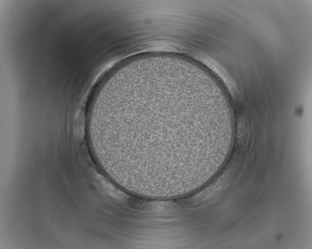 X0000097641067200803211827