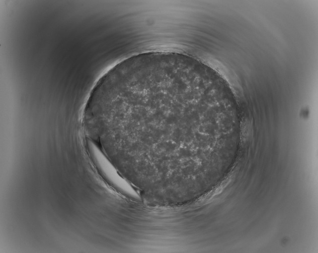 X0000097641071200803211827