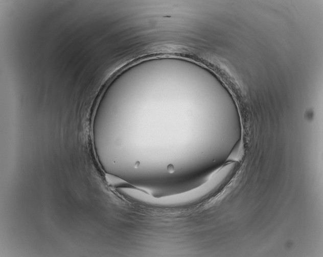 X0000097641073200803211827