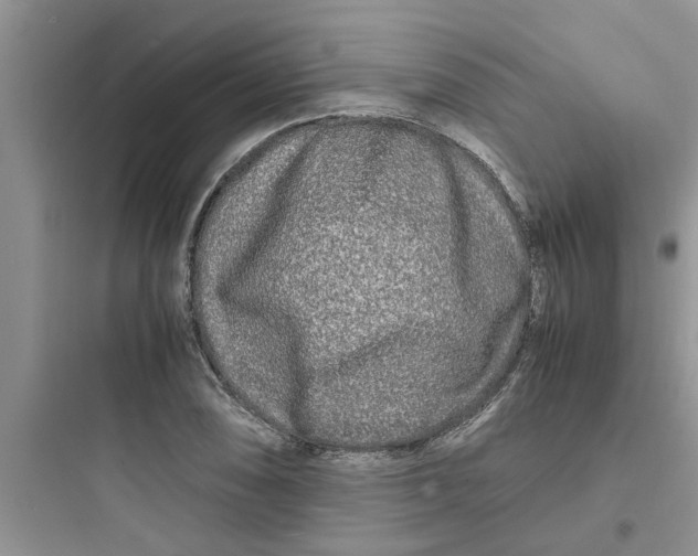 X0000097641074200803211827