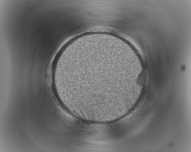 X0000097641075200803211827