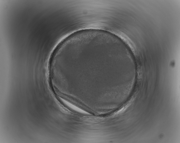 X0000097641077200803211827