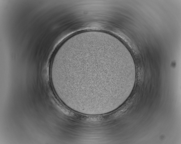 X0000097641078200803211827