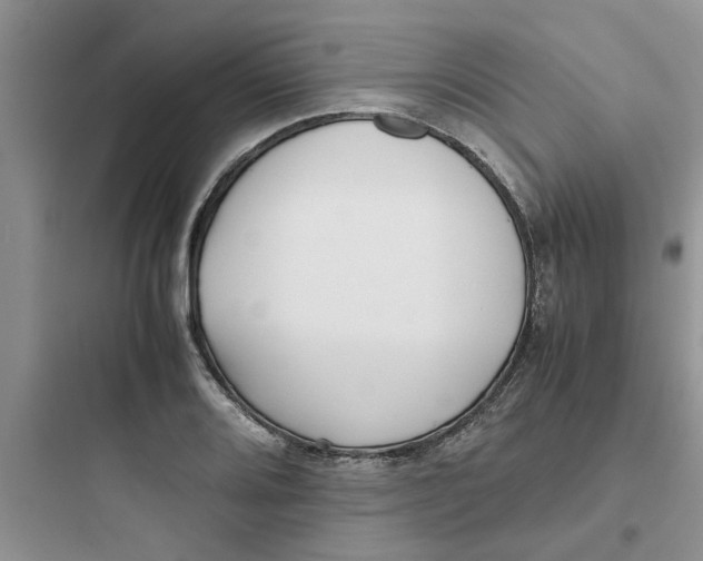 X0000097641080200803211827