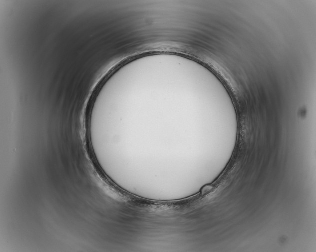 X0000097641082200803211827