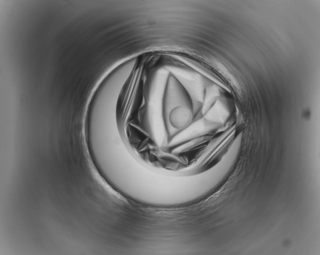 X0000097641084200803211827