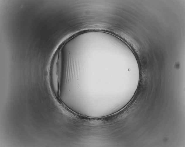 X0000097641085200803211827