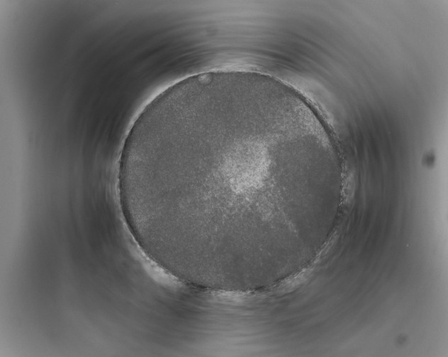 X0000097641086200803211827