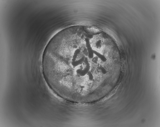 X0000097641087200803211827