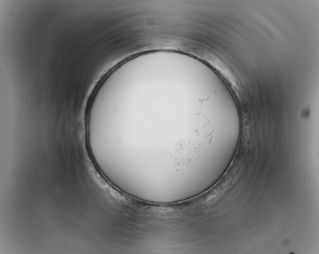 X0000097641088200803211827