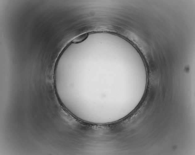 X0000097641089200803211827